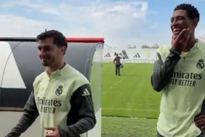 库尔图瓦长得像德约科维奇，米利唐长得像利文斯顿。