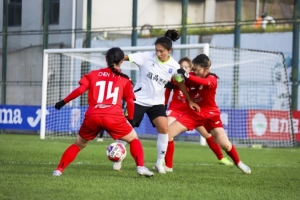 广西平果呗侬女足提前一轮锁定女甲冠军，成为广西首支晋级女超的队伍。