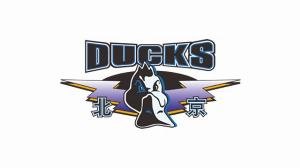 北汽男篮新赛季主场敲定，首钢冰球馆与五棵松体育场将共同承办。