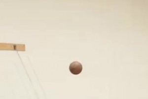 不要和约基奇赌马！即使是和吉祥物比！