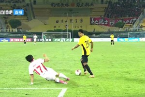 泰山球迷：国安的魂还回去了！海港来接班了！